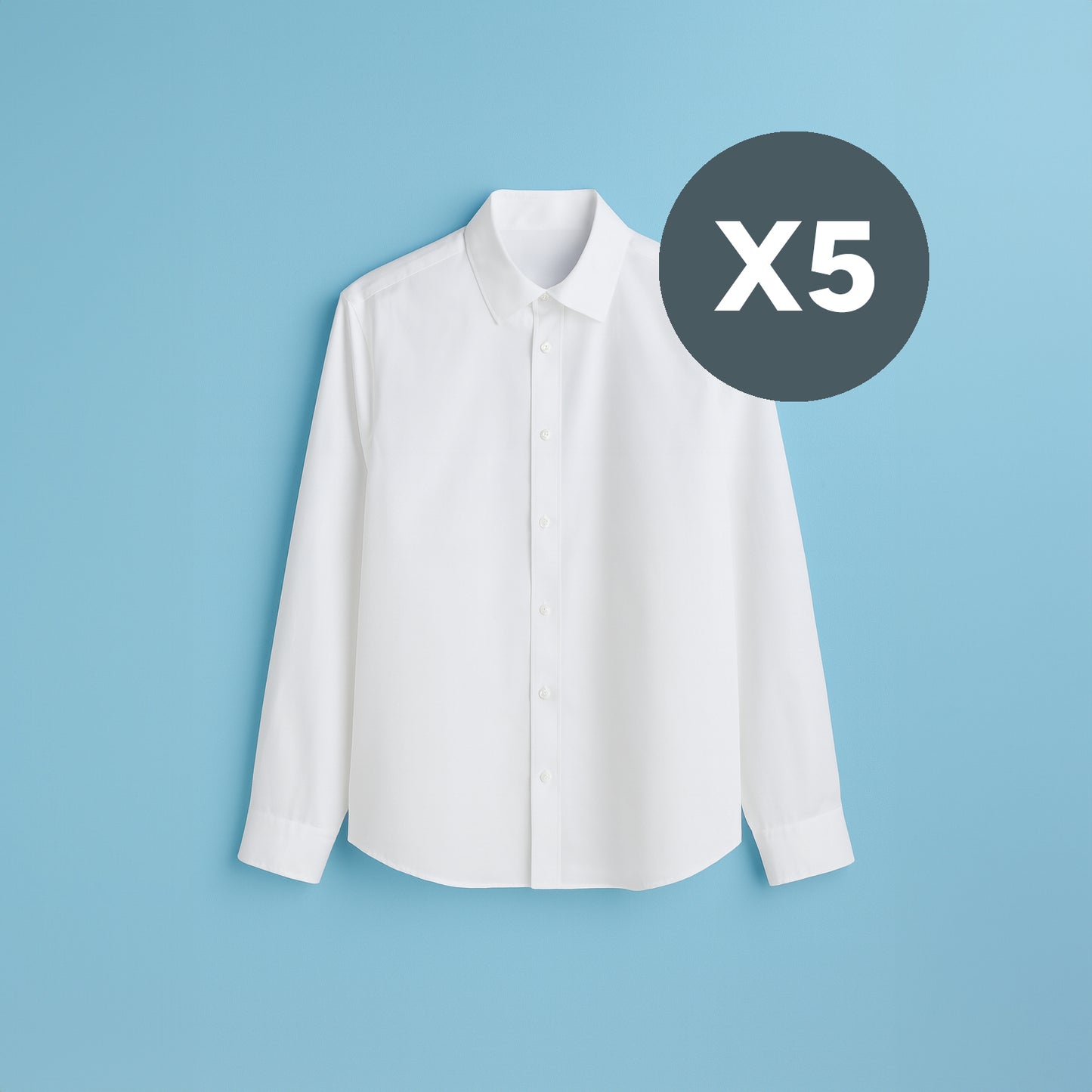 Planchado Camisas X5