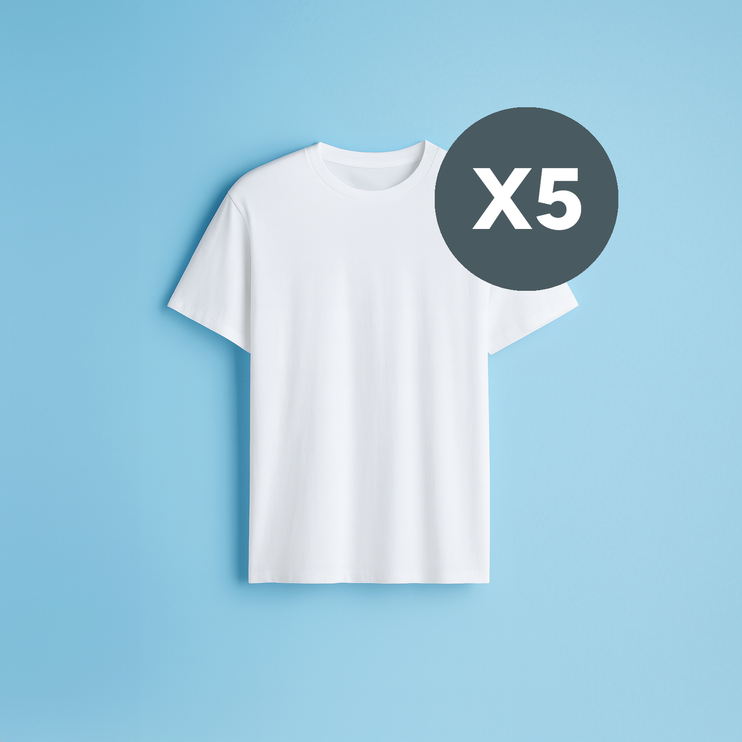 Planchado Poleras X5